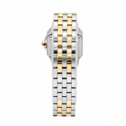 Cartier Santos Demoiselle 20MM W25066Z6 Two-Tone Watch